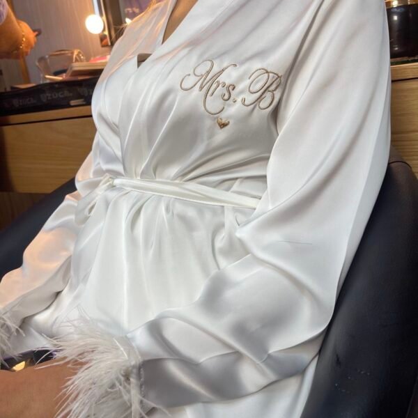 Full Ensemble Plume