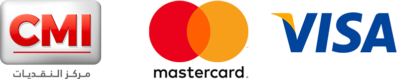 logo-cmi-visa-mastercard