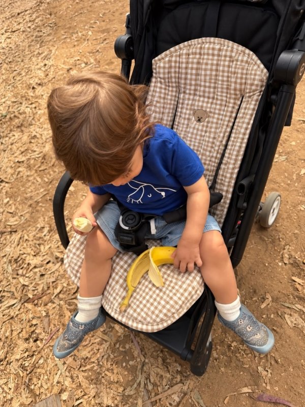 Assise poussette vichy beige ourson